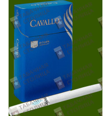 Cavallo Ocean